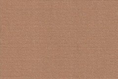 suntt-5528-152-toast