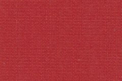 suntt-p056-152-pepper