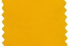 210d_yellow